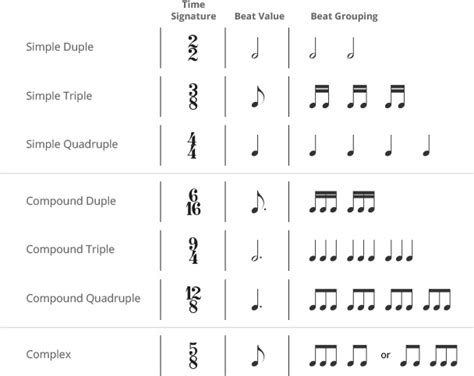 What is a Meter in Music and Why Does It Dance with the Stars?